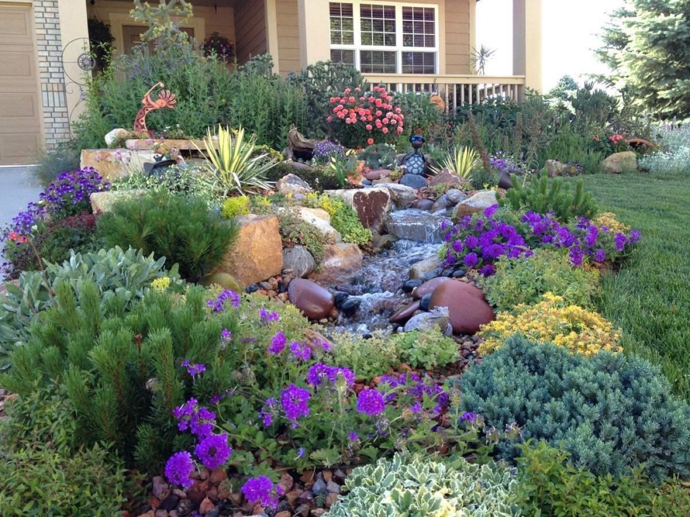 Rock garden with boulders, evergreens and purple flowers